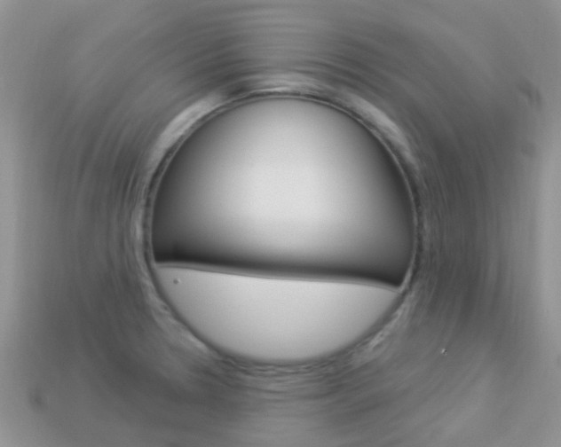X0000114241330200910091341