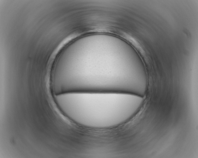 X0000114241331200910091341