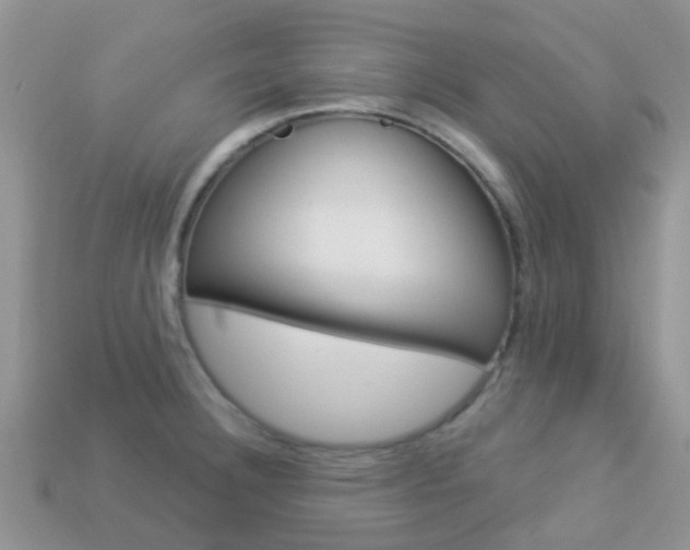 X0000114241332200910091341