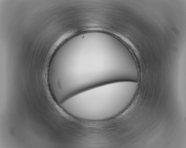 X0000114241333200910091341