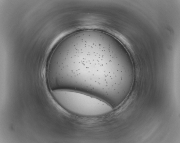 X0000114241334200910091341