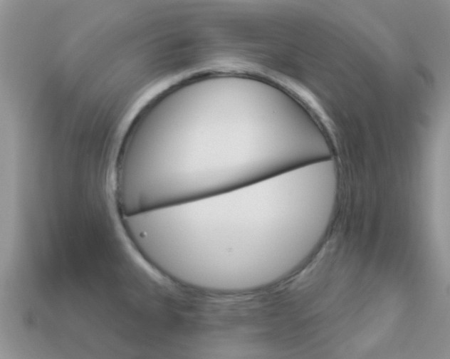 X0000114241335200910091341