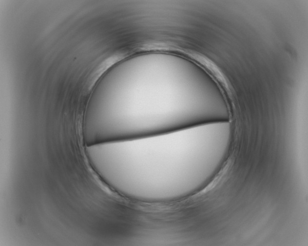 X0000114241337200910091341