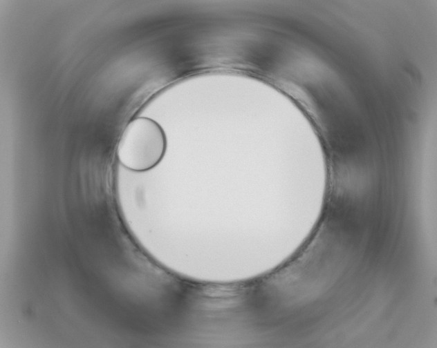 X0000114241338200910091341