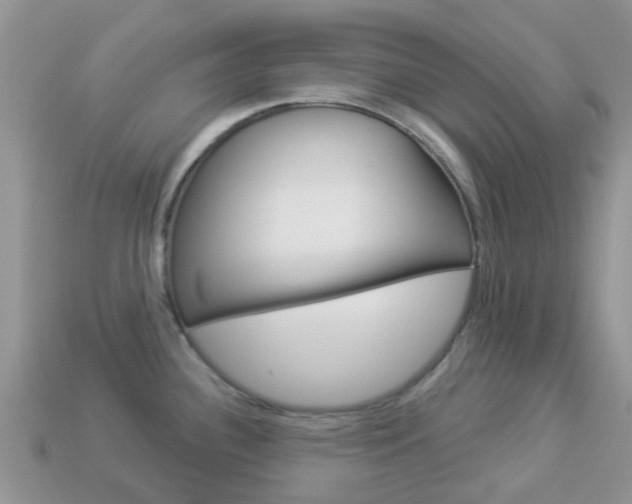 X0000114241340200910091341