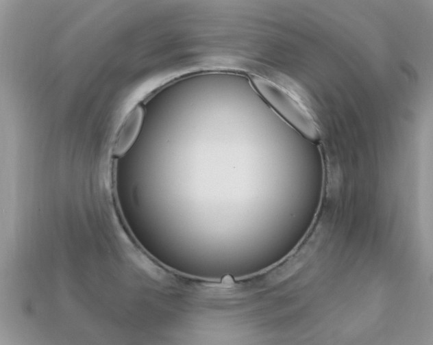 X0000114241342200910091341