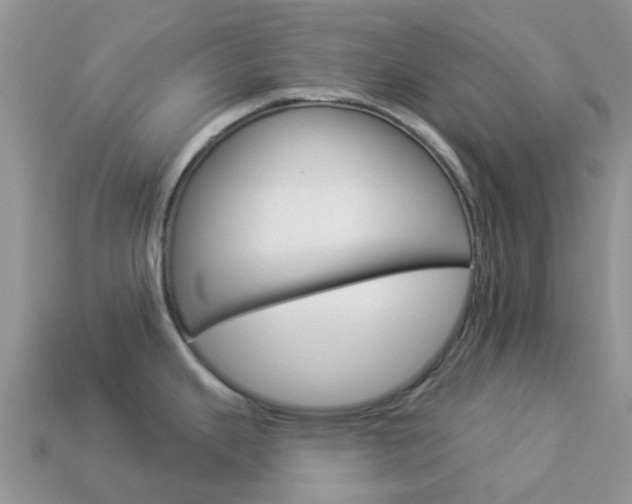 X0000114241343200910091341