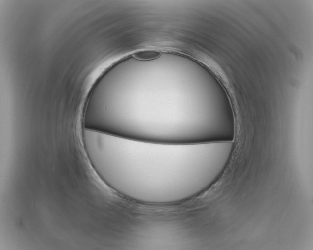 X0000114241344200910091341