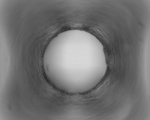 X0000114241345200910091341