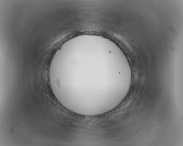 X0000114241350200910091341