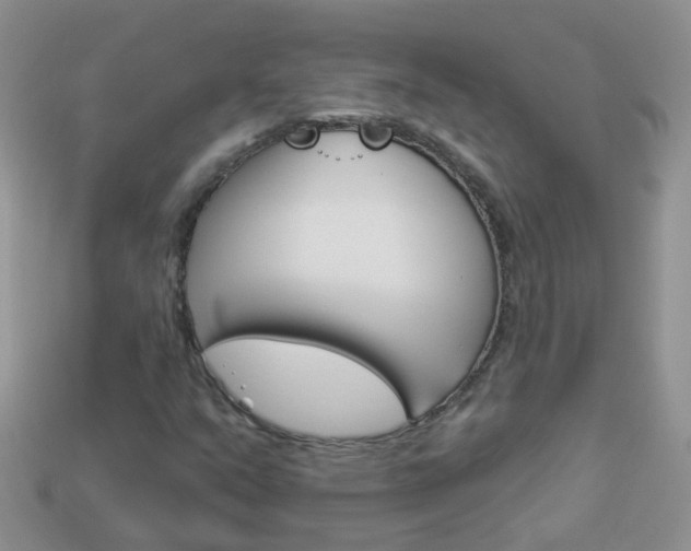 X0000114241351200910091341