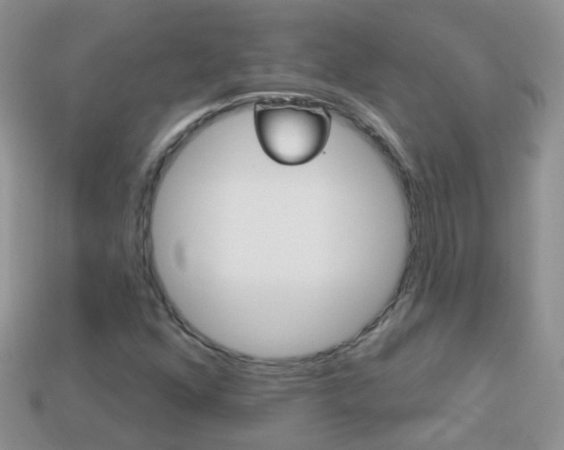 X0000114241352200910091341
