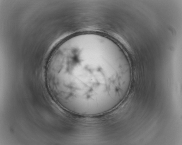 X0000114241356200910091341