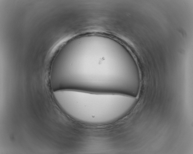 X0000114241359200910091340