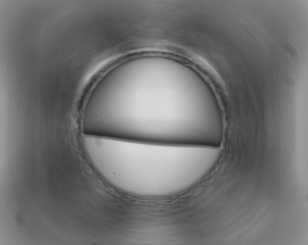 X0000114241360200910091340