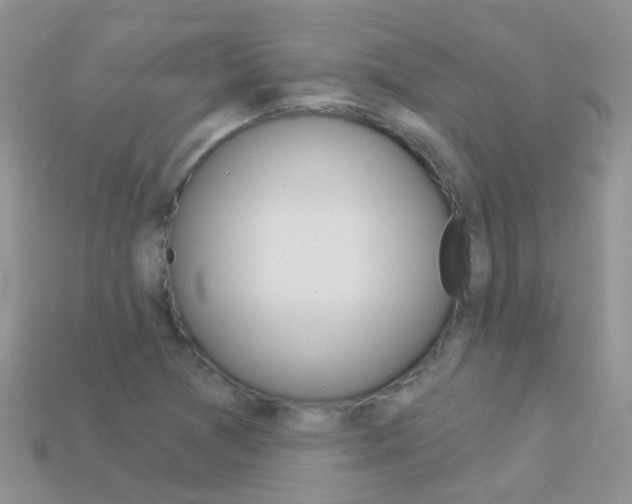 X0000114241361200910091340