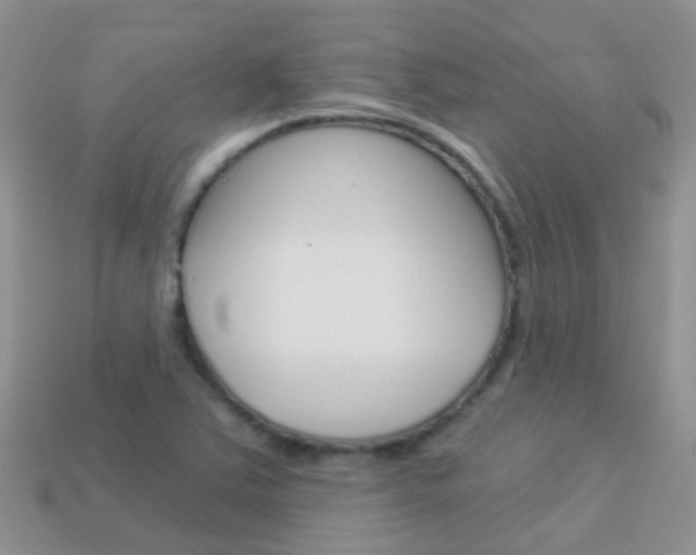 X0000114241363200910091340