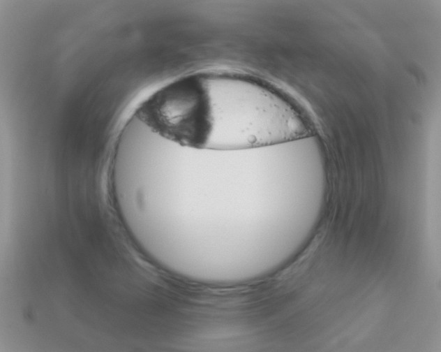X0000114241367200910091340