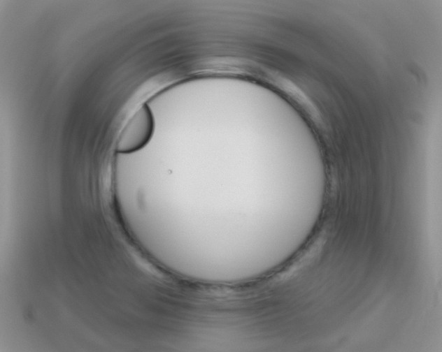 X0000114241370200910091340