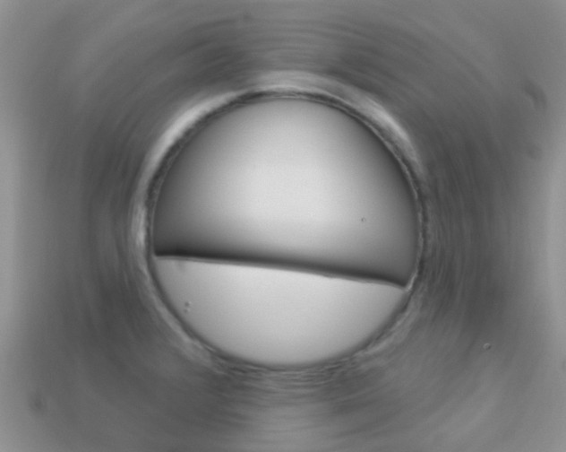 X0000114241376200910091340