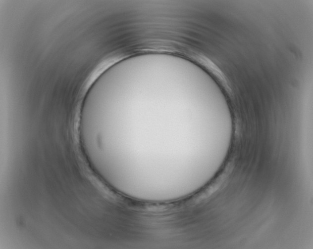 X0000114241378200910091340