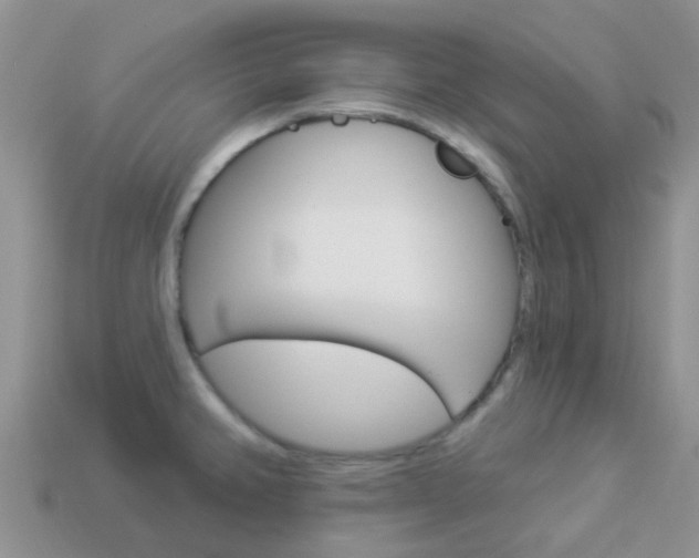 X0000114241382200910091340