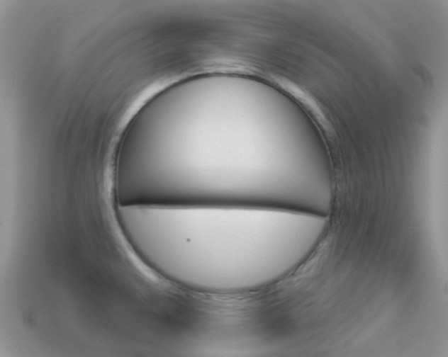 X0000114241383200910091340