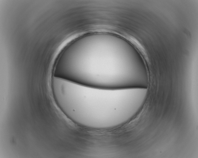 X0000114241384200910091340