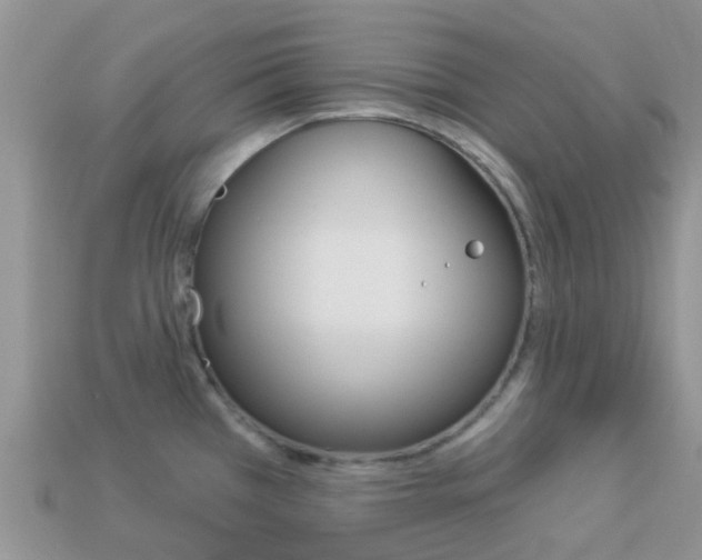 X0000114241385200910091340