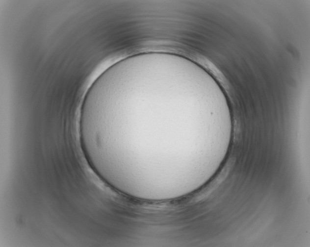 X0000114241386200910091340
