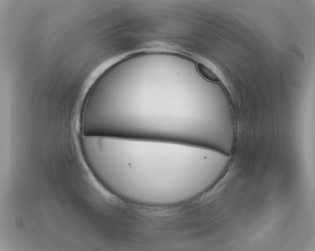 X0000114241387200910091340