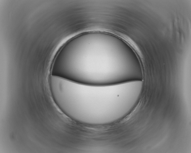 X0000114241388200910091340