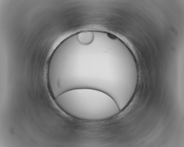 X0000114241390200910091340