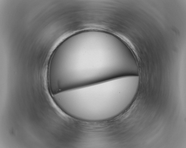 X0000114241391200910091340