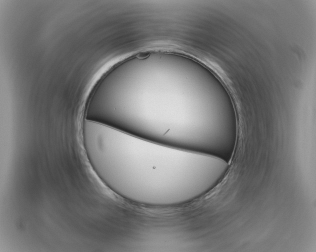X0000114241392200910091340