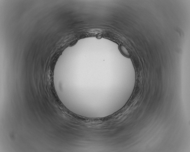 X0000114241394200910091339