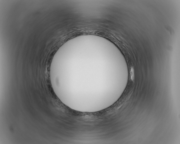 X0000114241395200910091339