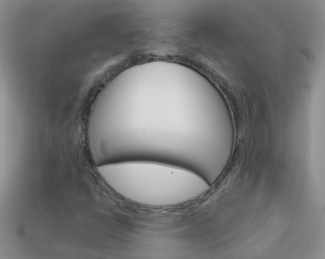 X0000114241398200910091340