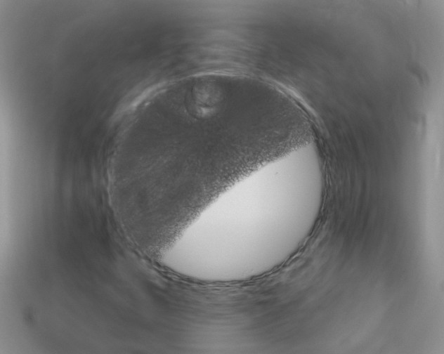 X0000114241399200910091340