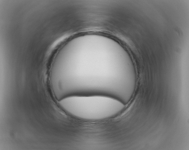 X0000114241406200910091340