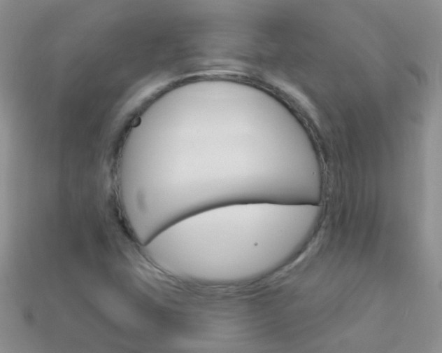 X0000114241407200910091340