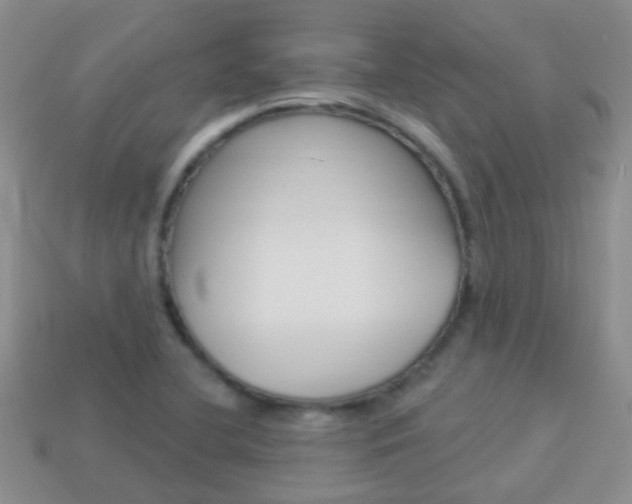 X0000114241412200910091340