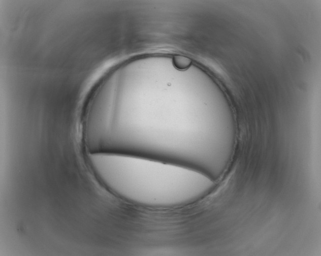 X0000114241414200910091340