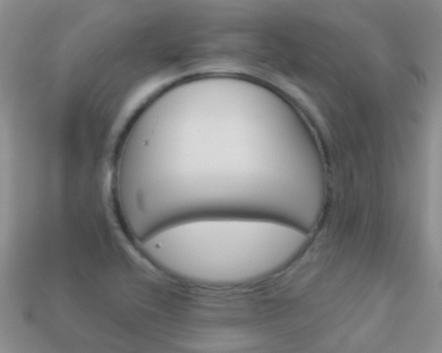 X0000114241416200910091340
