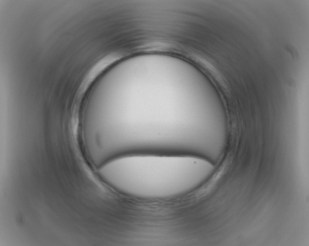 X0000114241418200910091340