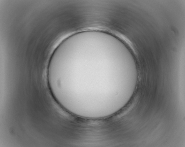 X0000114241423200910091340