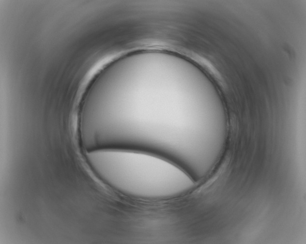 X0000114241424200910091340