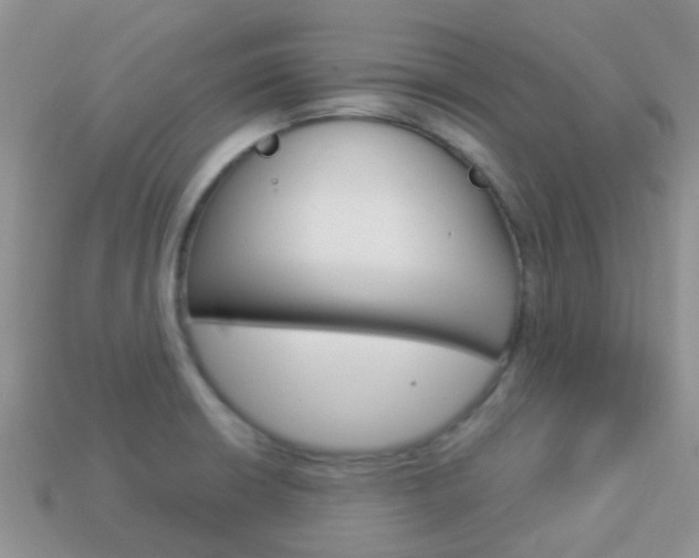 X0000114241426200910091340