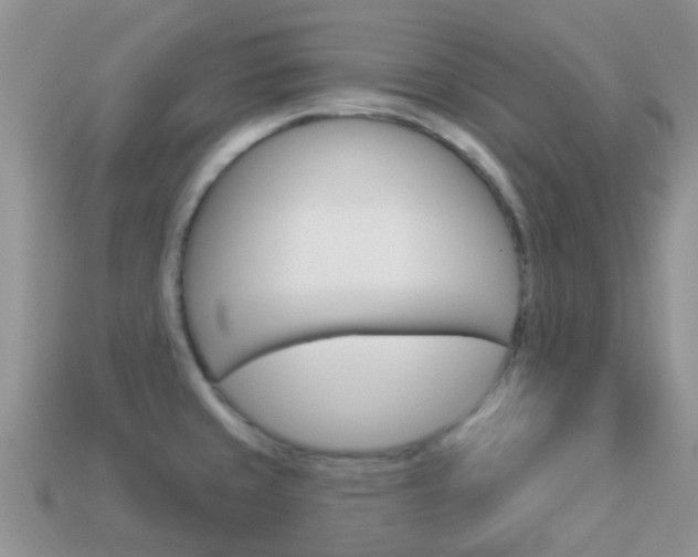 X0000114241429200910091340