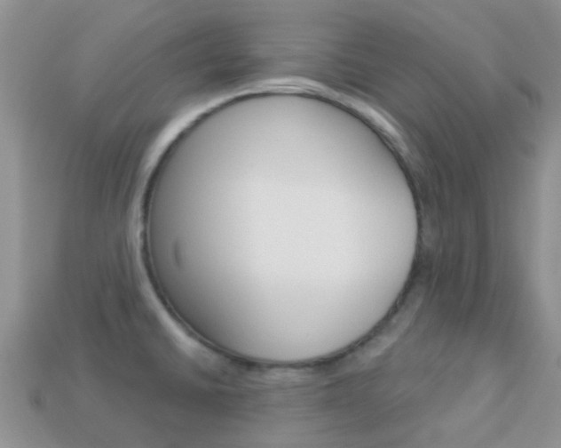 X0000114241430200910091340